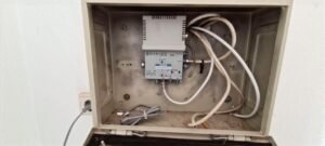 antenista callosa del segura (1)